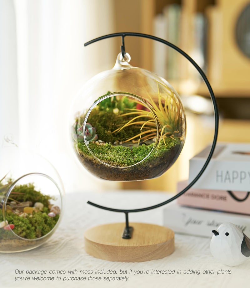 LUCKYRUNES 15-Piece Terrarium Kit with Live Moss - DIY Glass Globe Set with Tools  Soil  Stones & Spray Bottle - Indoor Mini Garden Gift for Plant Lovers  Home Decor & Zen Craft - Image 3